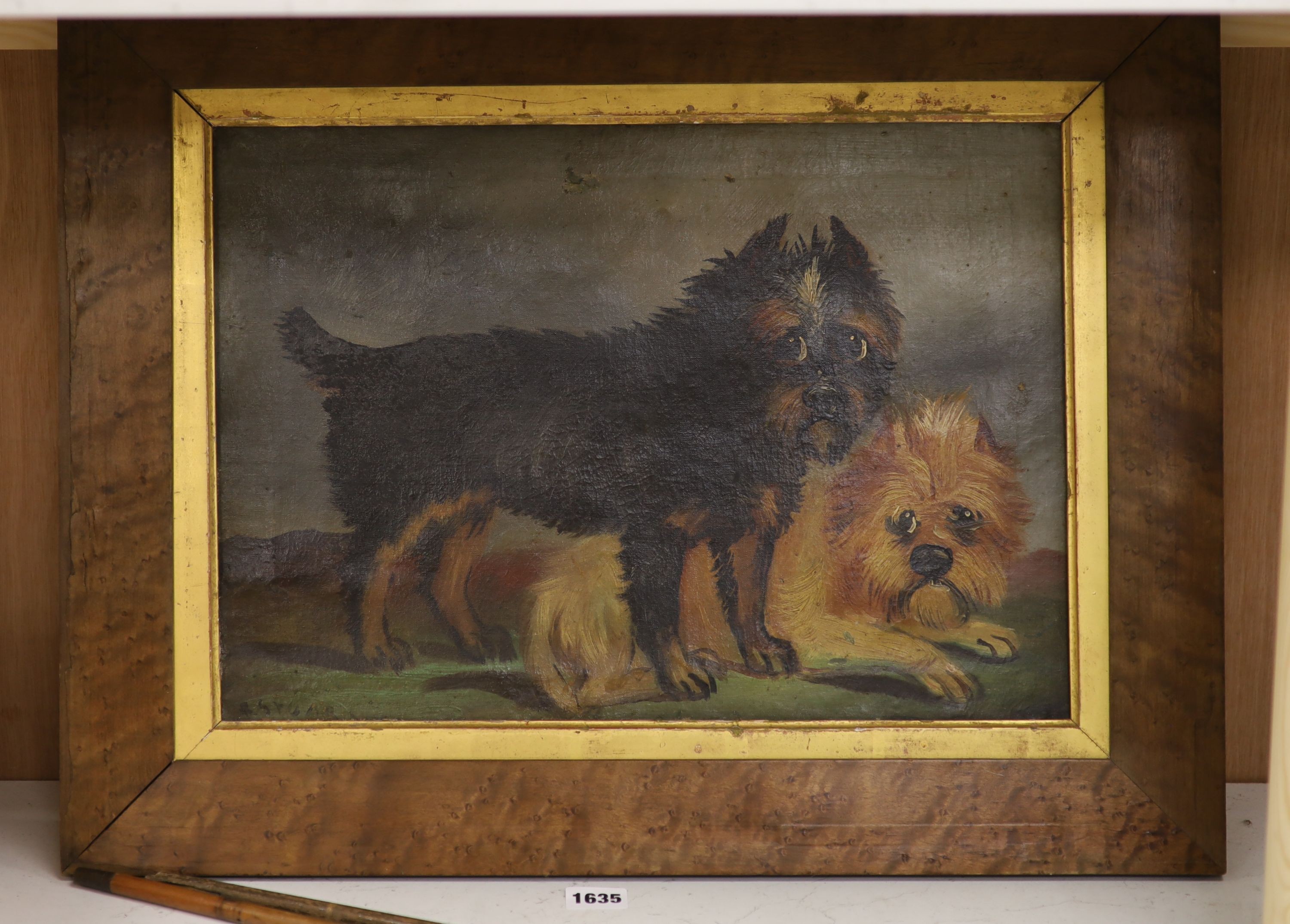 R. Stoar, oil on canvas, Primitive study of two terriers, signed, 31 x 44cm